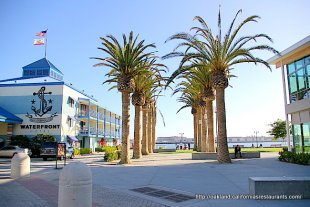 Jack London Square Waterfront Hotel Palm Trees